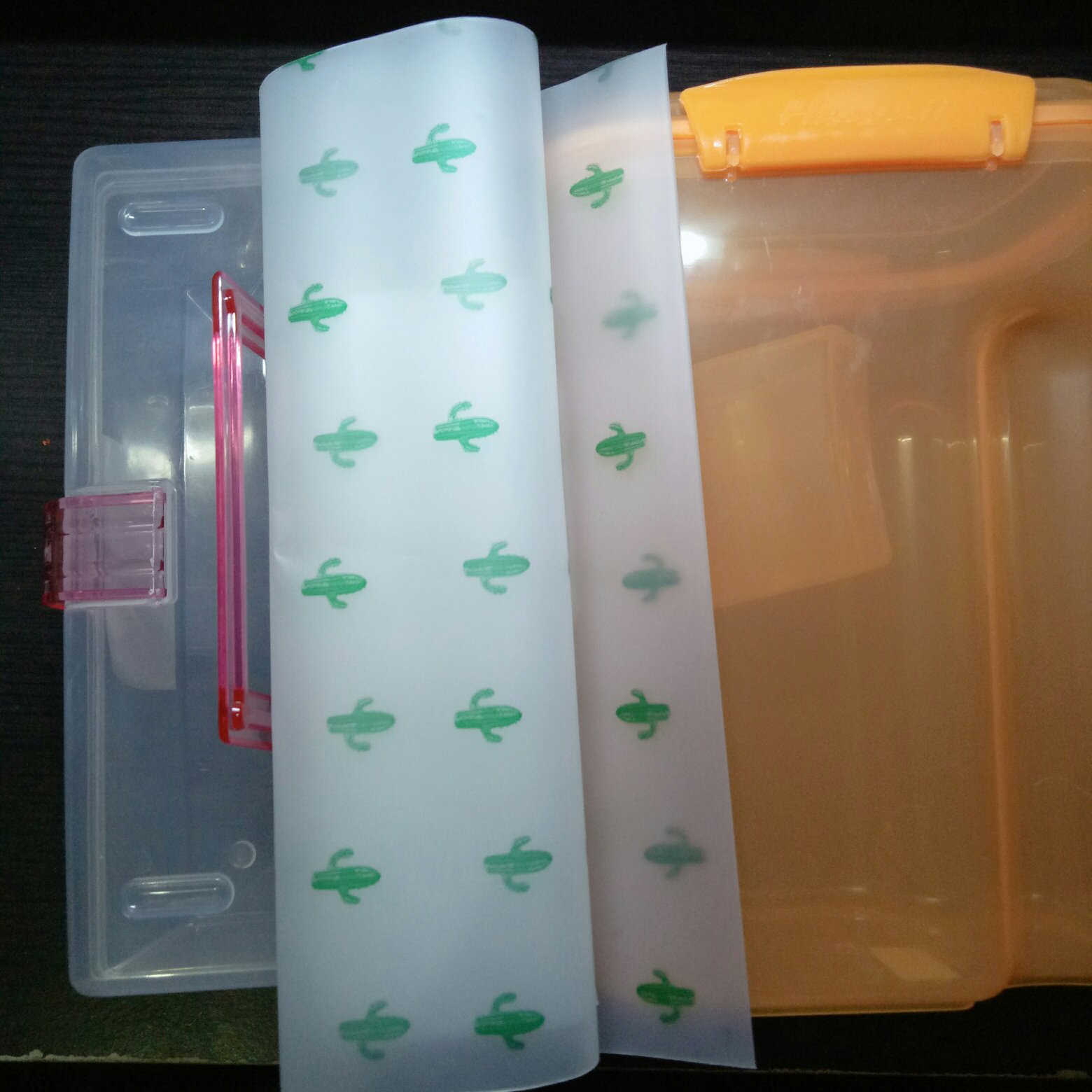 Batamgrosir.id | Kantong Storage Bag Ziplock Motif Kaktus Sedang Part 1