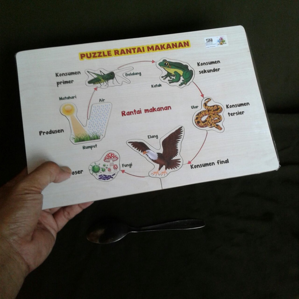 Puzzle Rantai Makanan Puzle Ape Edukasi Edukatif Anak Rumah Tk Sd Paud Alat Peraga Pendidikan