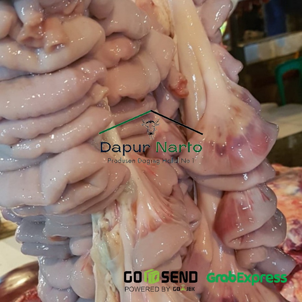 

Usus Sapi bersih dan halal terjamin kualitasnya - DAPUR NARTO