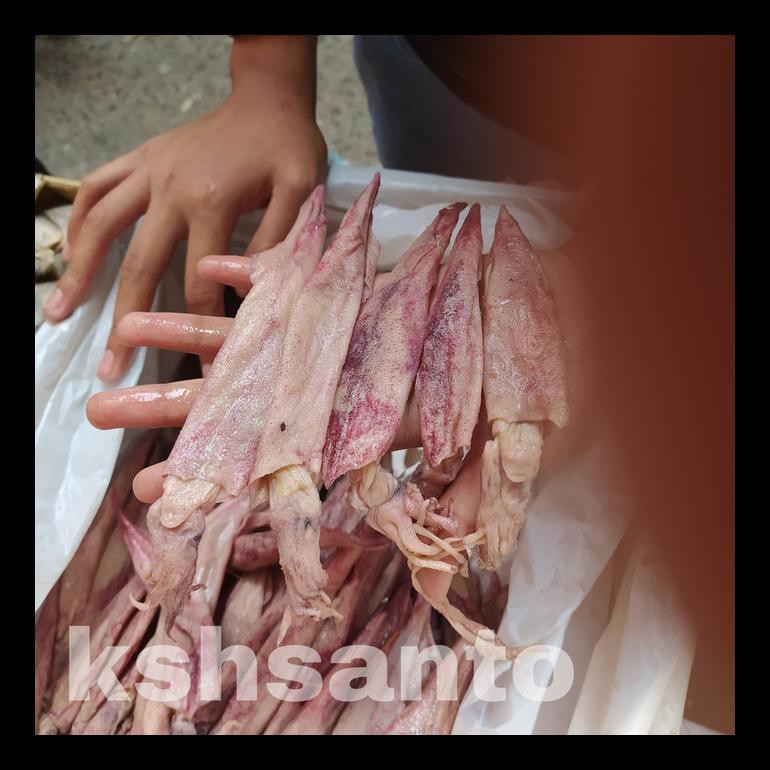 

READY! IKAN ASIN CUMI PANJANG/LONTAR-500GRAM PALING MURAH