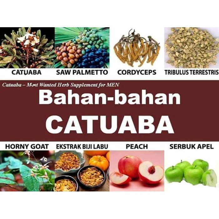 Obat Herbal Ku-At Untuk Suami Istri 4kali Satu Malam Catuaba ASELI terbukti ampuh