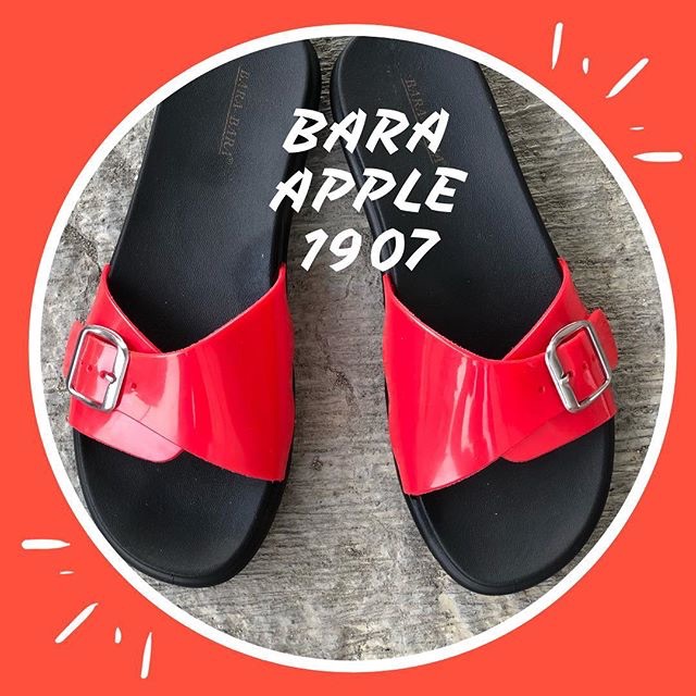 Bara Apple 1907 Best quality and Import