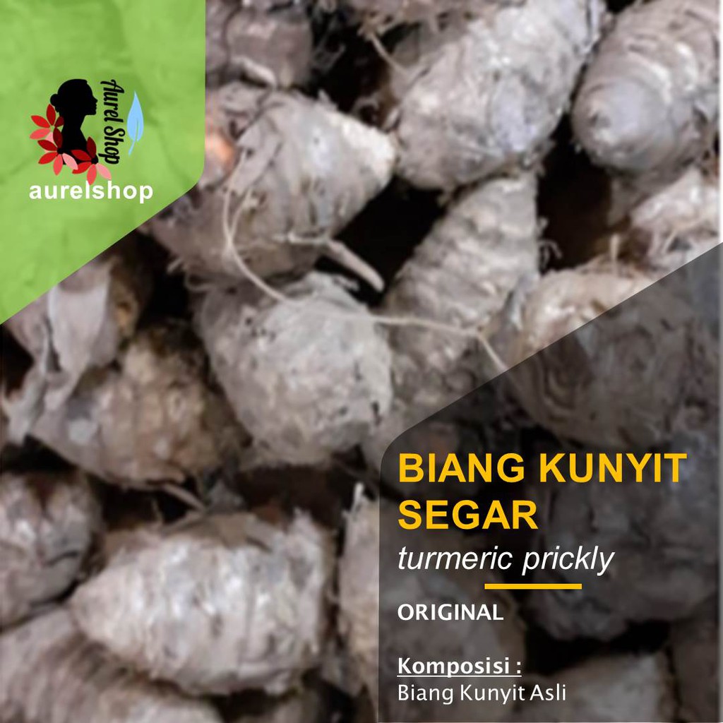 

Biang Kunyit Segar kemasan 1 kg