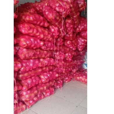 

ゴ bawang merah india 1kg ➝
