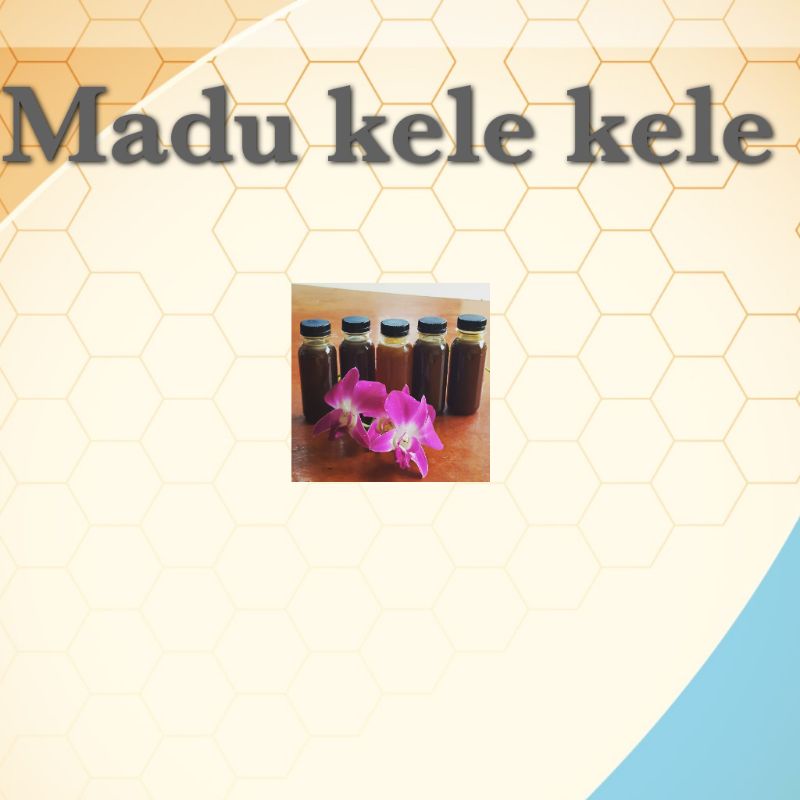 

madu trigona