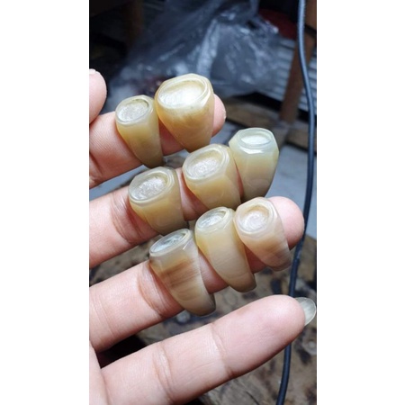 cincin tanduk kerbau bule