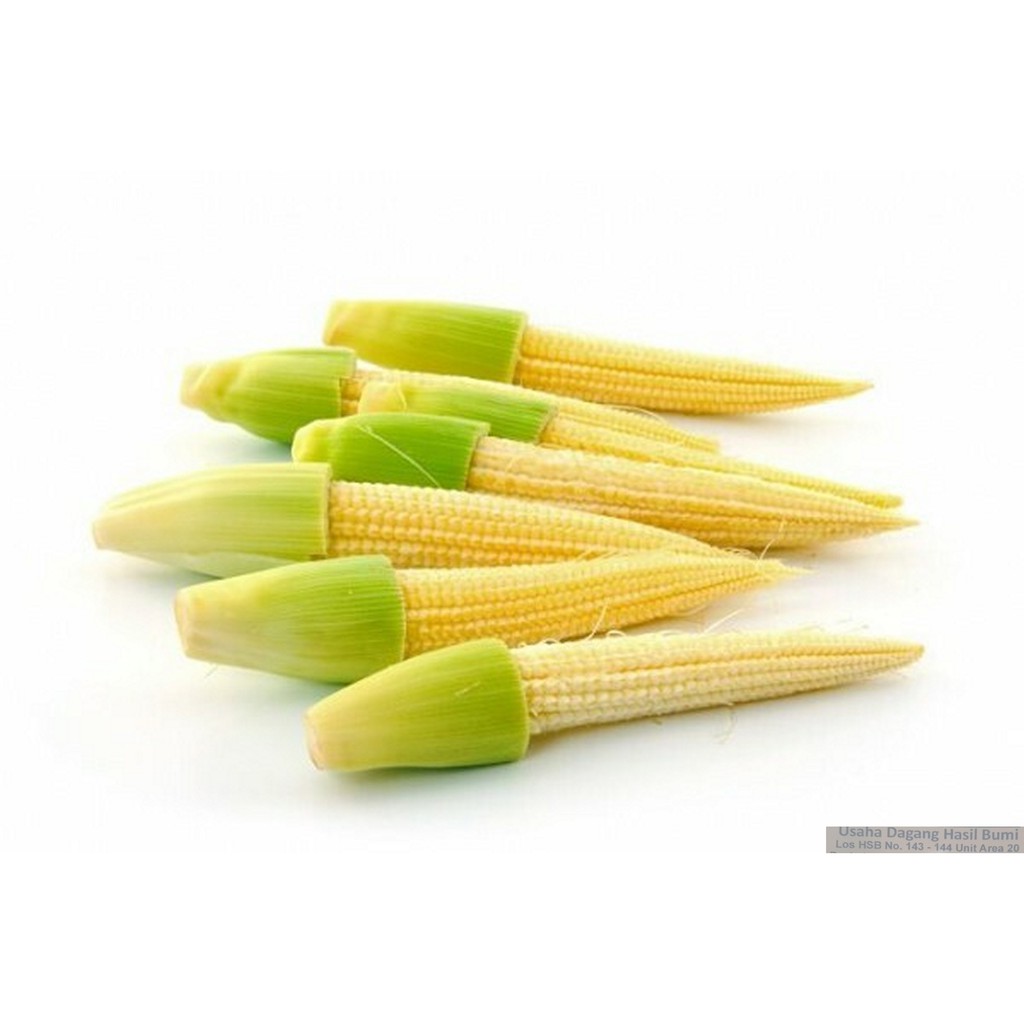 

[Bumi Mart] Jagung Putren | 500 gram | 1 KG