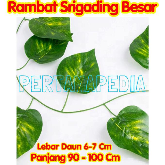 Daun Rambat Plastik/ Daun Rambat Palsu / Daun Rambat Sintetis /Aquaria
