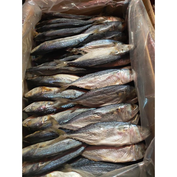 

Ikan asin Peda kembung bening 500gram enak empuk