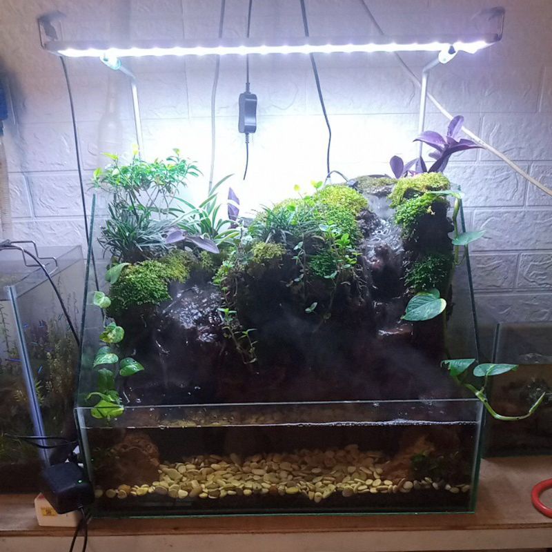 PALUDARIUM MINI FULLSET paludarium fullset