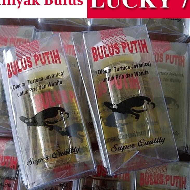 (COD) Minyak Bulus Putih Asli Original - Massage Oil Pembesar Payudara