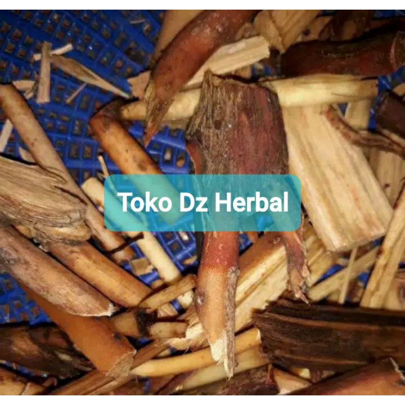 

Akar pinang segar paket 500 gram-az