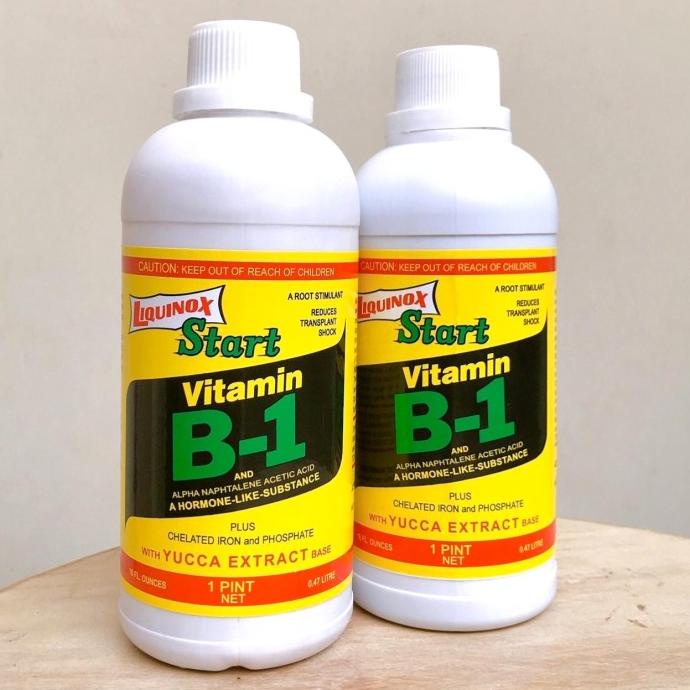PROMO Liquinox Start Vitamin B1 Tanaman 470 ml
