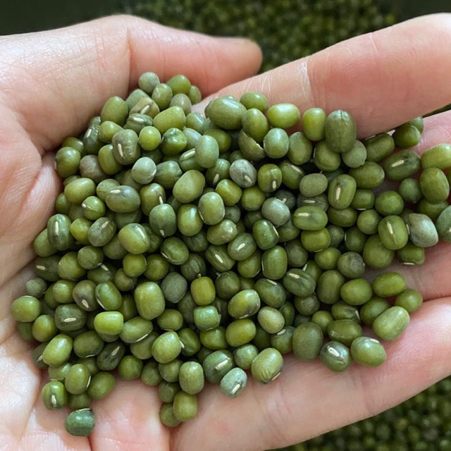 

KACANG HIJAU YULEK 1 KG / GREEN BEAN YULEK 1 KG (SUPER QUALITY)