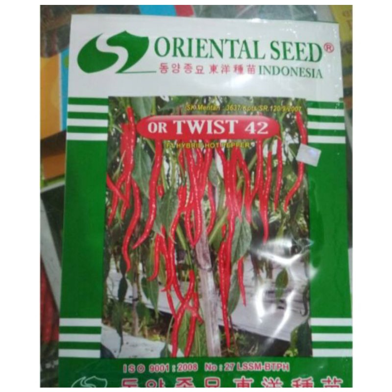 Benih Cabe kriting OR TWIST 42 F1 | dari Oriental seed ASLI