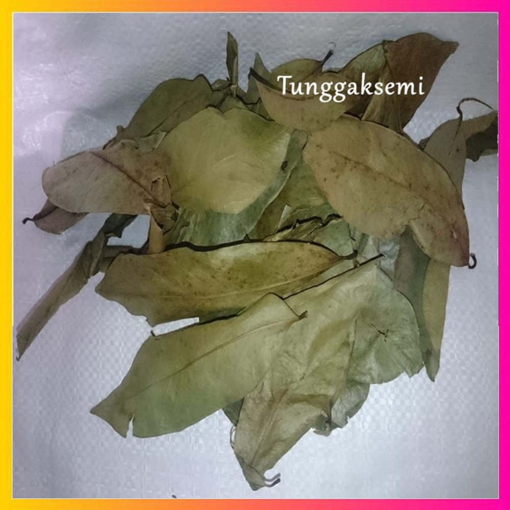 

Daun Sirsak Kering GRADE A Kwalitas Premium 250 g