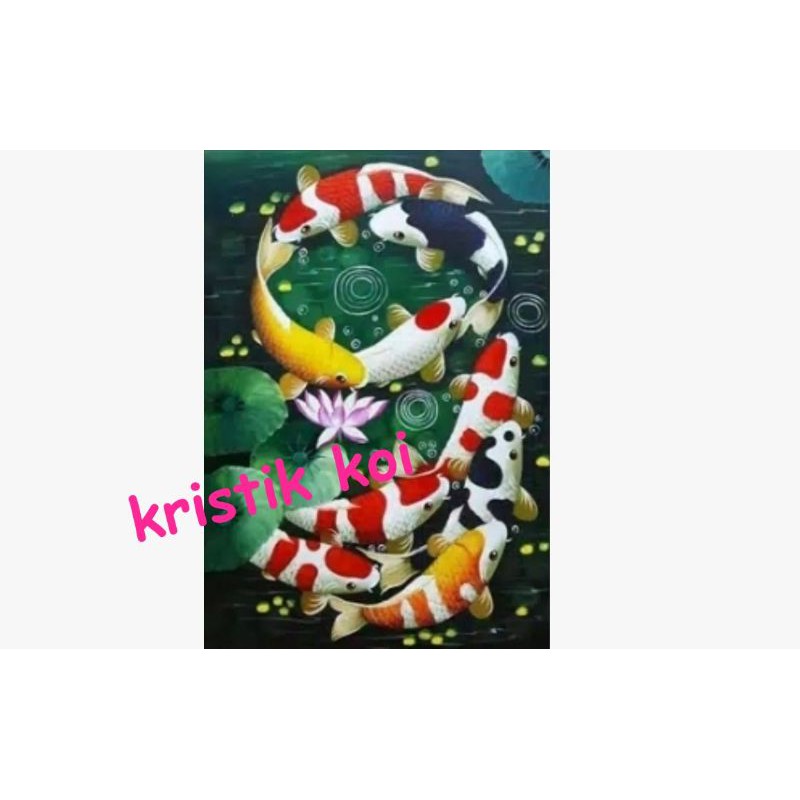 paket kristik ikan koi 9 latar hijau
