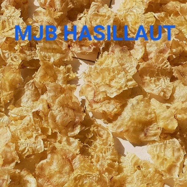 

perut ikan manyong / hipio / hupio /lambung ikan/fishmaw / 500gram