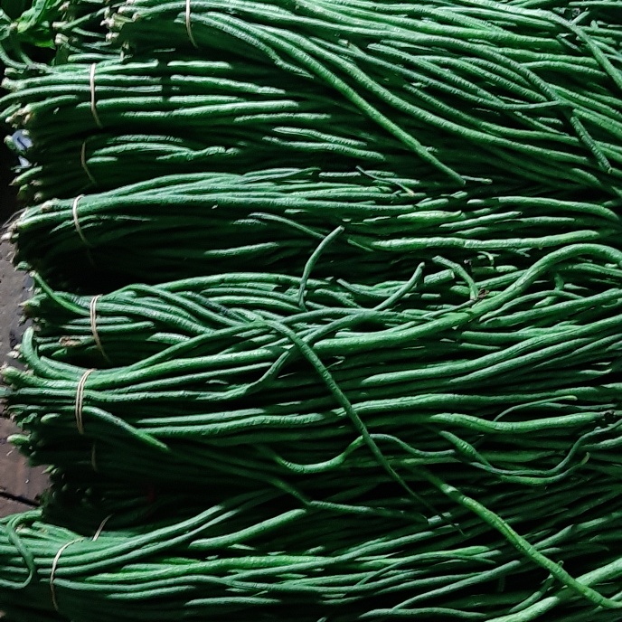 

Kacang panjang 1kg(1000g)