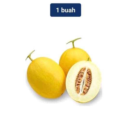 Golden Red Melon Sunpride