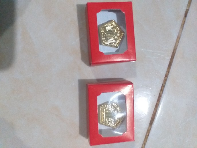 Pin Bivakmut Kemenkumham