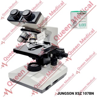MABELSTAR XP502 Binocular Biological Microscope 