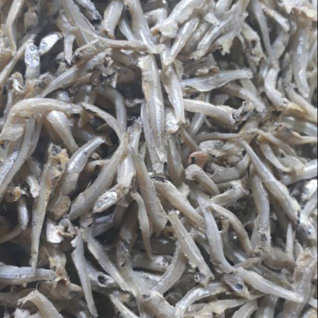 

Ikan teri medan murahhh