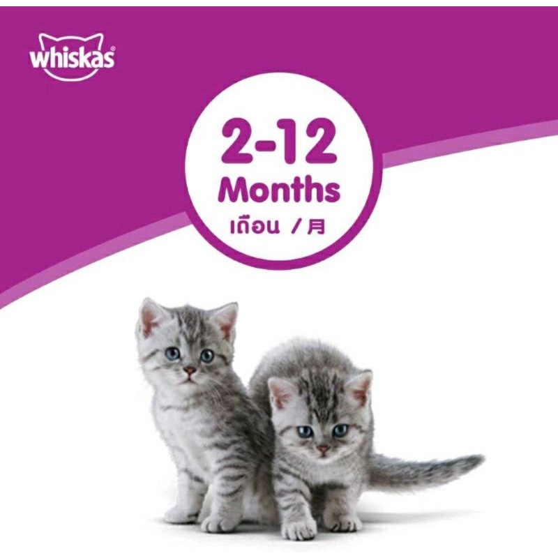 Whiskas Junior Kitten Pouch Wet Food 80gr