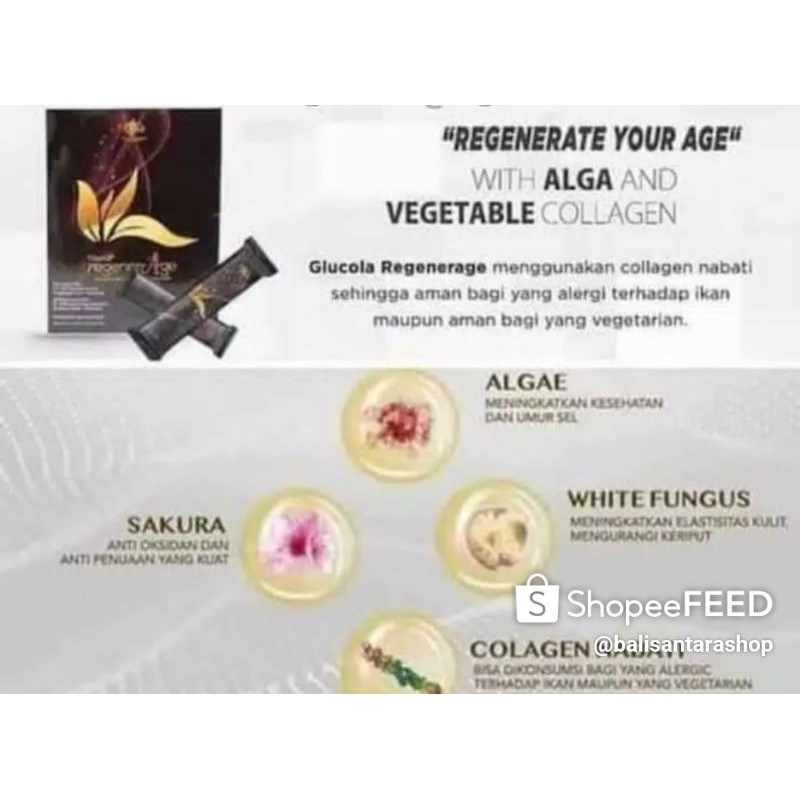 Minuman Collagen halal Glucola Sakura RegenerAge mci membuat kulit wajah glowing dan cerah