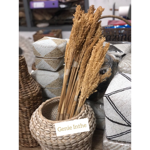 Dried Flower Tanaman Kering Bunga Estetik Aesthetic Decor Rustic Shopee Indonesia