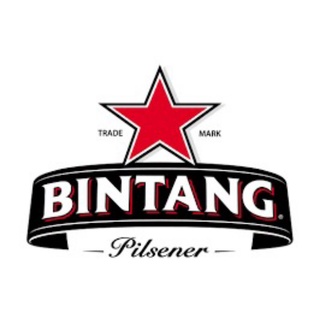 Jual Bir Bintang Pilsener 24 Can 500 Ml Bintang Beer Beer Bintang 24 ...