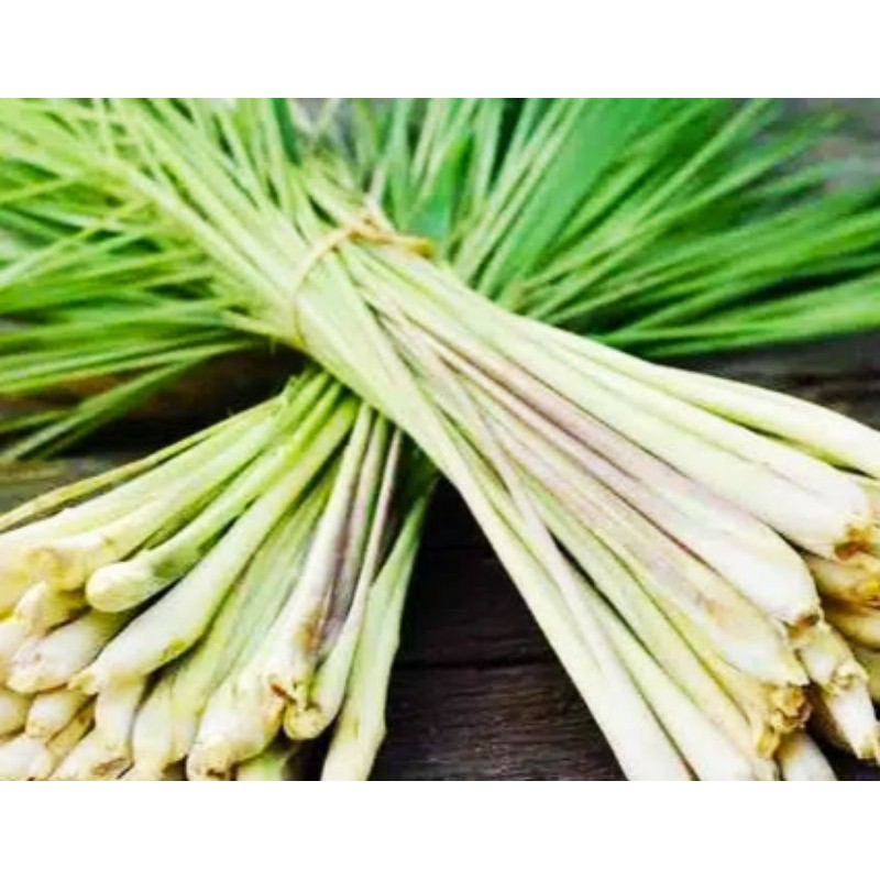 

Sayur Segar - Daun Sereh / Serai 250 gr