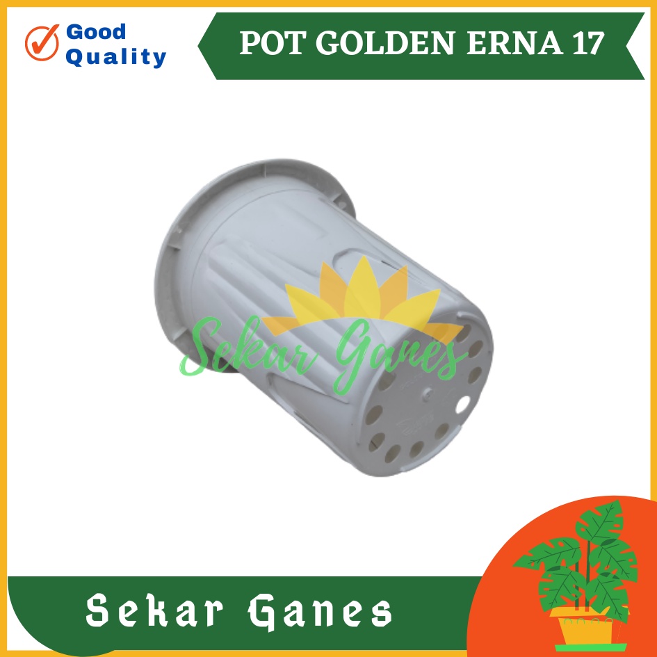 Sekarganes Pot Golden Erna 17 Putih - Pot Yogap 15 17 Murah