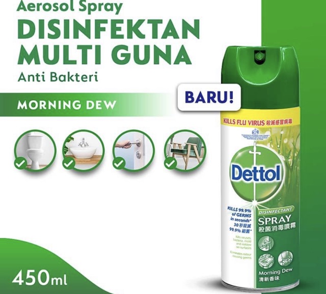 DETTOL disinfectant aerosol spray 450 ml 225 ml morning drew / desinfektan disinfektan semprot