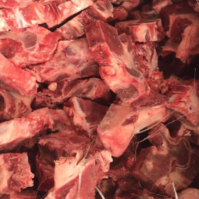 

Tulang Iga Sapi