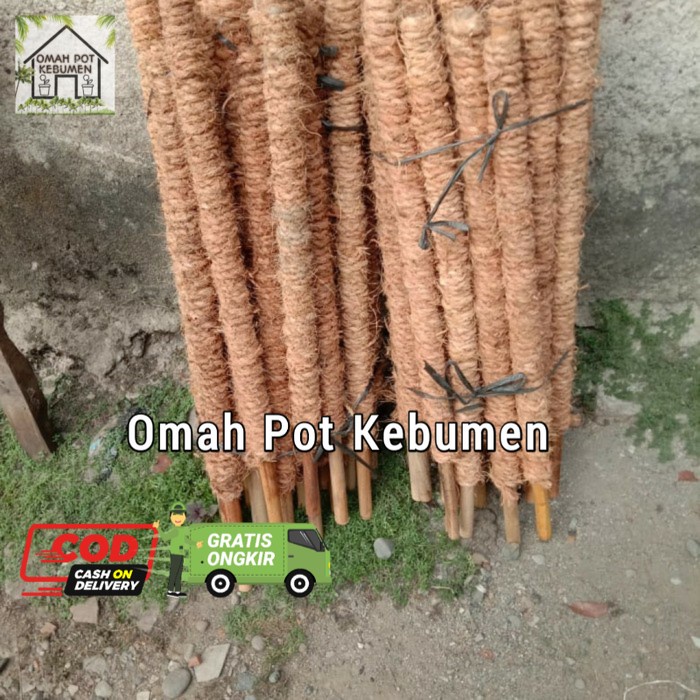 turus penyangga tanaman merambat / turus rambatan tanaman 65cm