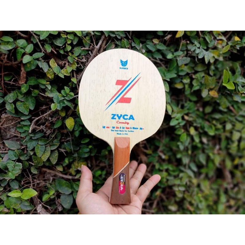 SURBEX ZYCA COBINASI FH GOLD ZLC BH TAMCA 5000