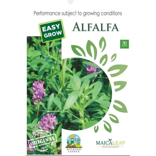 

Benih Rumput Tanaman ALFALFA