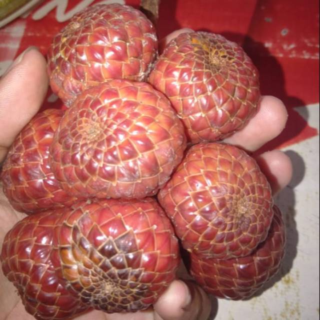 

Buah engkelumi