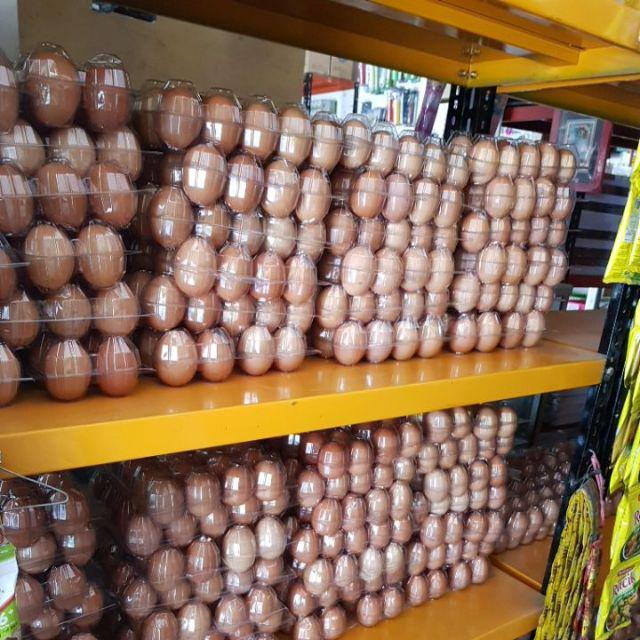 Mika Telor Isi 10 Telor