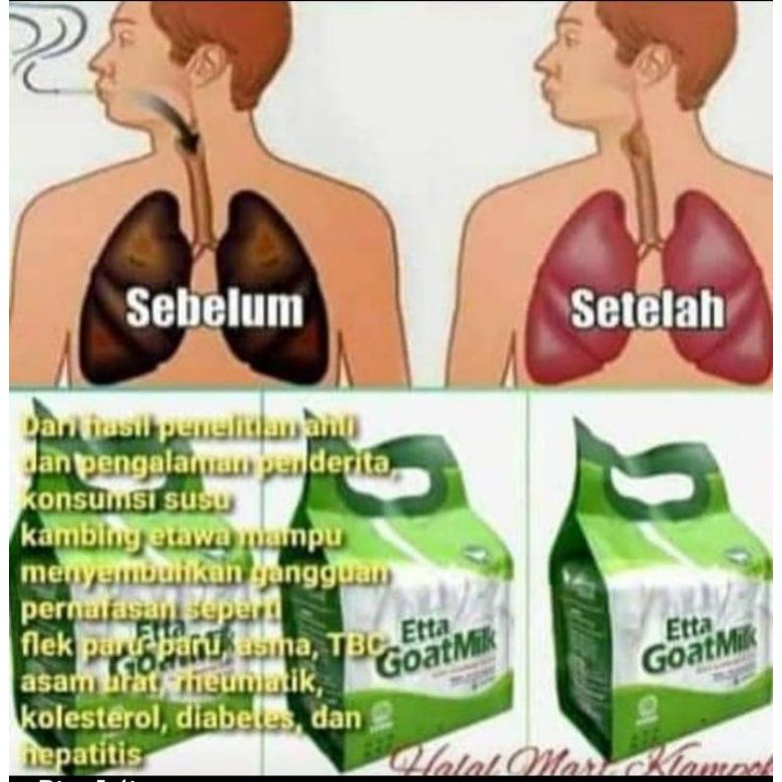 

susu kambing etawa goatmilk