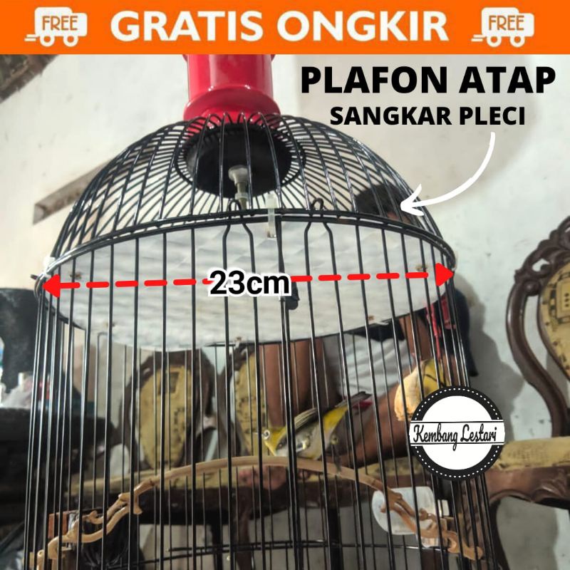 PLAFON ATAP SANGKAR HOLOPED 3D PLAFON SANGKAR PLECI