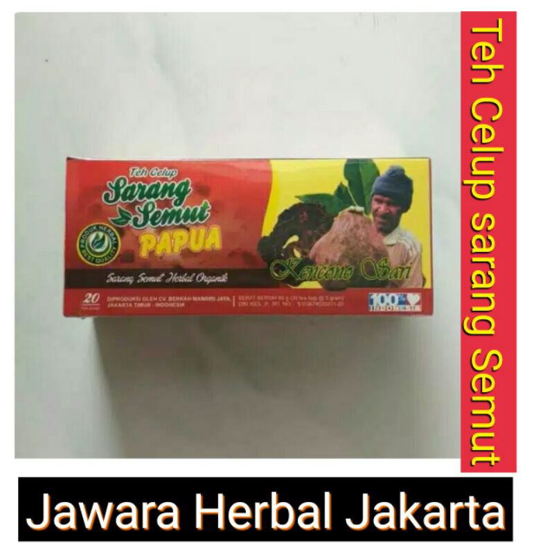 

Teh Celup Sarang Semut Papua Obat Herbal Kanker asli Original