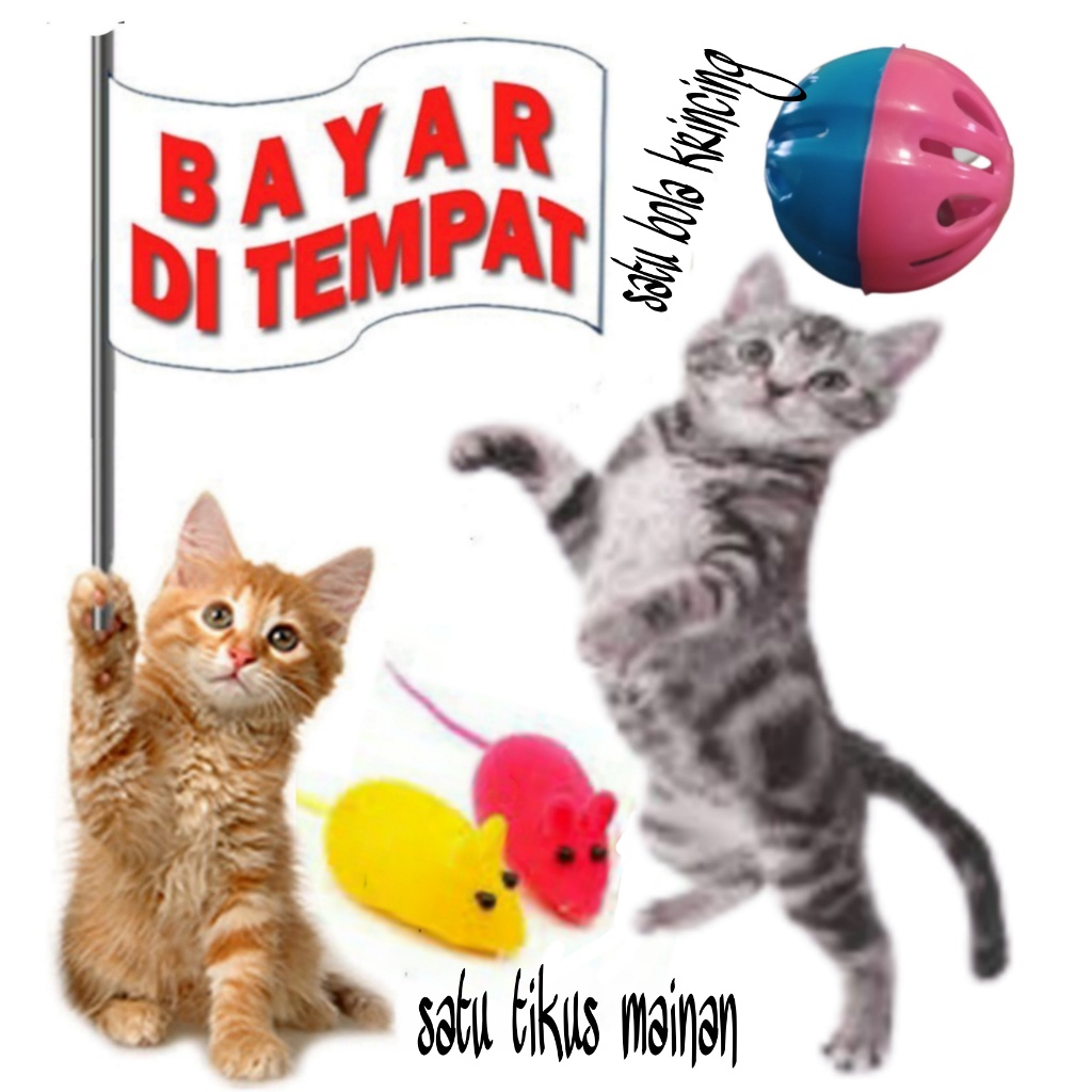 MAINAN KUCING LUCU TIKUS TIKUSAN BUNYI PLUS BOLA KRINCING ANEKA WARNA