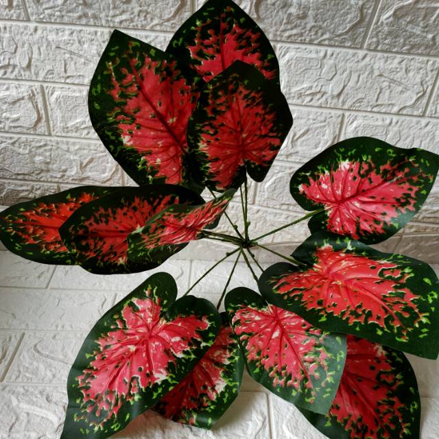 Daun Sri rejeki merah artificial