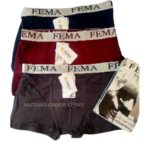 Boxer Celana Dalam Pria Dewasa Jumbo Cd Pria Celana Pendek Fema 7728