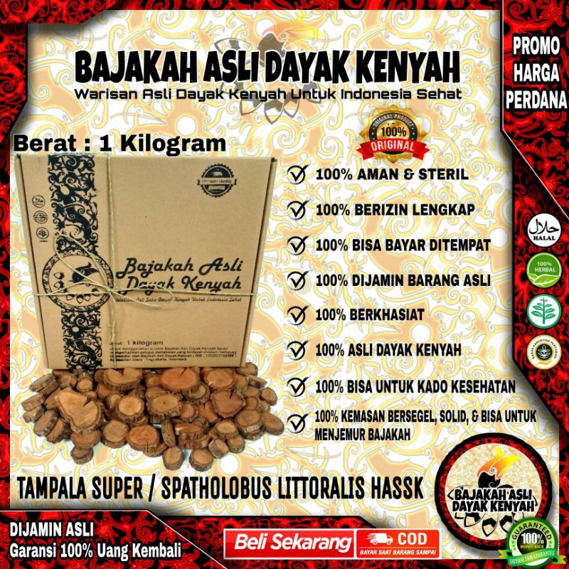 

BAJAKAH TAMPALA SUPER 1KG ASLI KALIMANTAN -SPATHOLOBUS- BAJAKAH ASLI DAYAK KENYAH