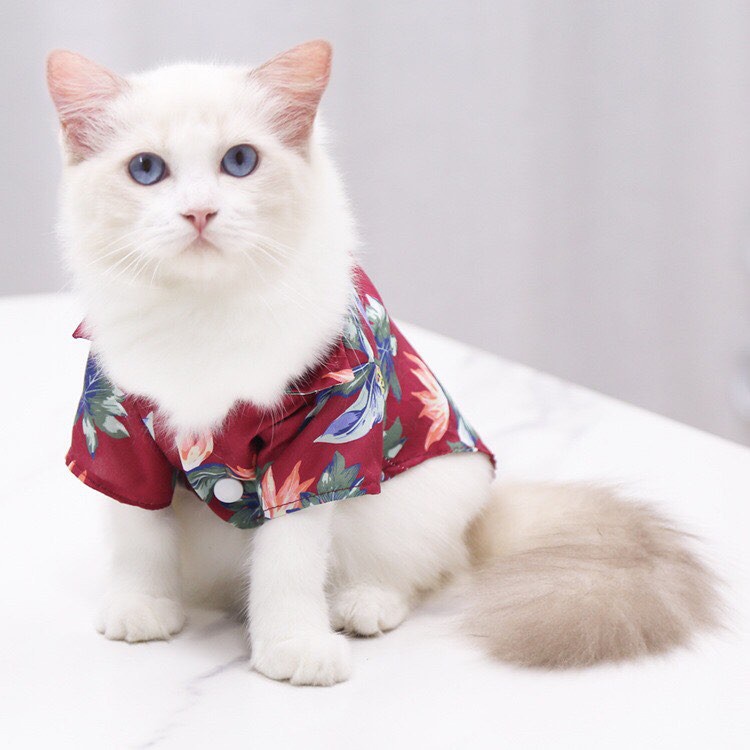 Baju Anjing/Kucing Musim Panas Pohon Kelapa Nanas Cetak Kemeja Pantai Hawaii