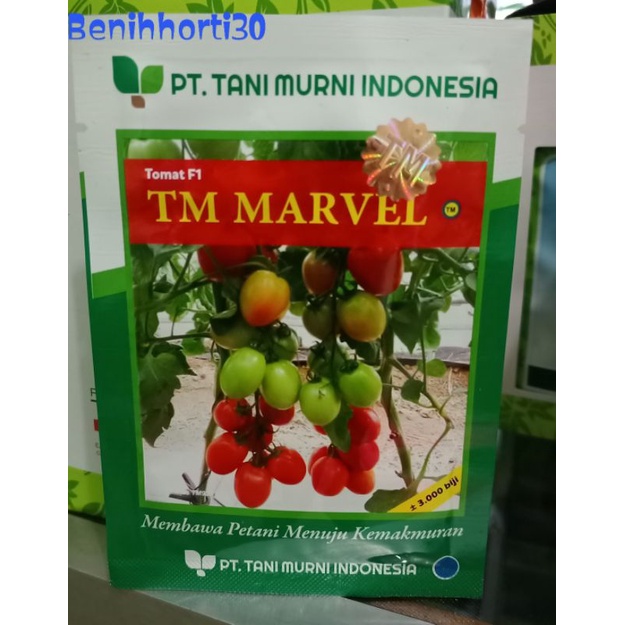 Benih Tomat TM Marvel isi 3000 butir