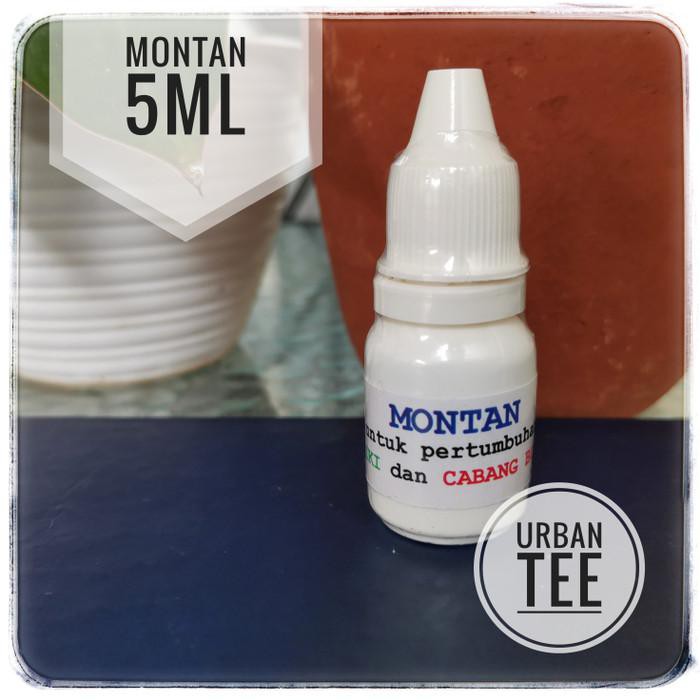 Montan Pupuk ZPT Tanaman Pemicu Keiki / Tunas Anggrek Aglonema